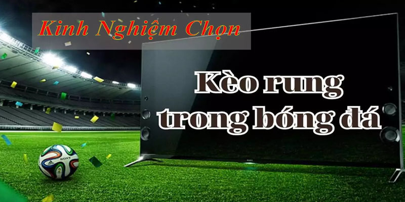 Tips nhận định Running Ball đại thắng