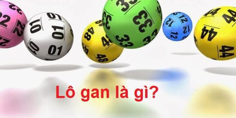 Sơ lược lô gan miền Bắc là gì?