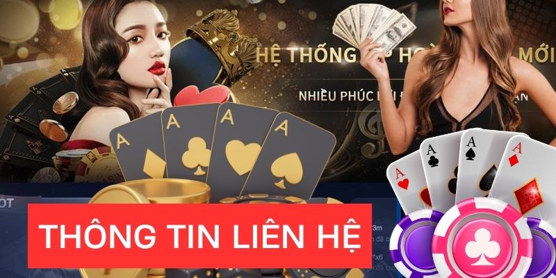 Các thông tin cơ bản về liên hệ 88bet 