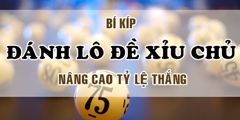 Các lưu ý người chơi cần biết khi chơi xỉu chủ là gì