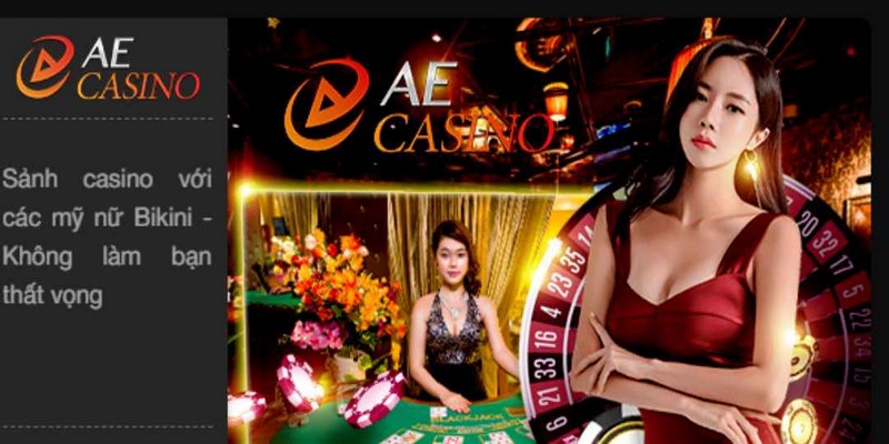 Sảnh cược AE Casino với nhiều hội viên tham gia