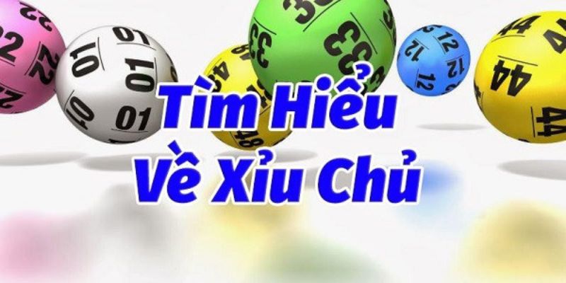 Xỉu Chủ Là Gì