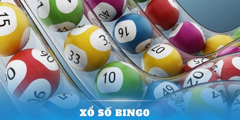 Xổ Số BINGO